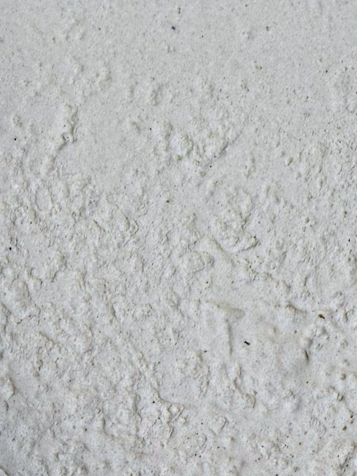 Special texture collection, rammed earth in beige