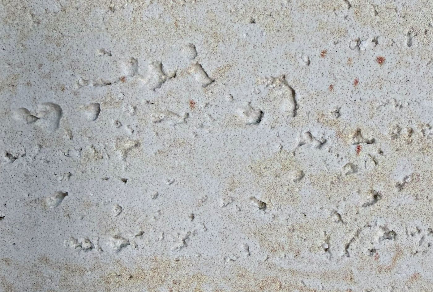 Roman Travertine 02 — Travertine collection, MCM flexible surface