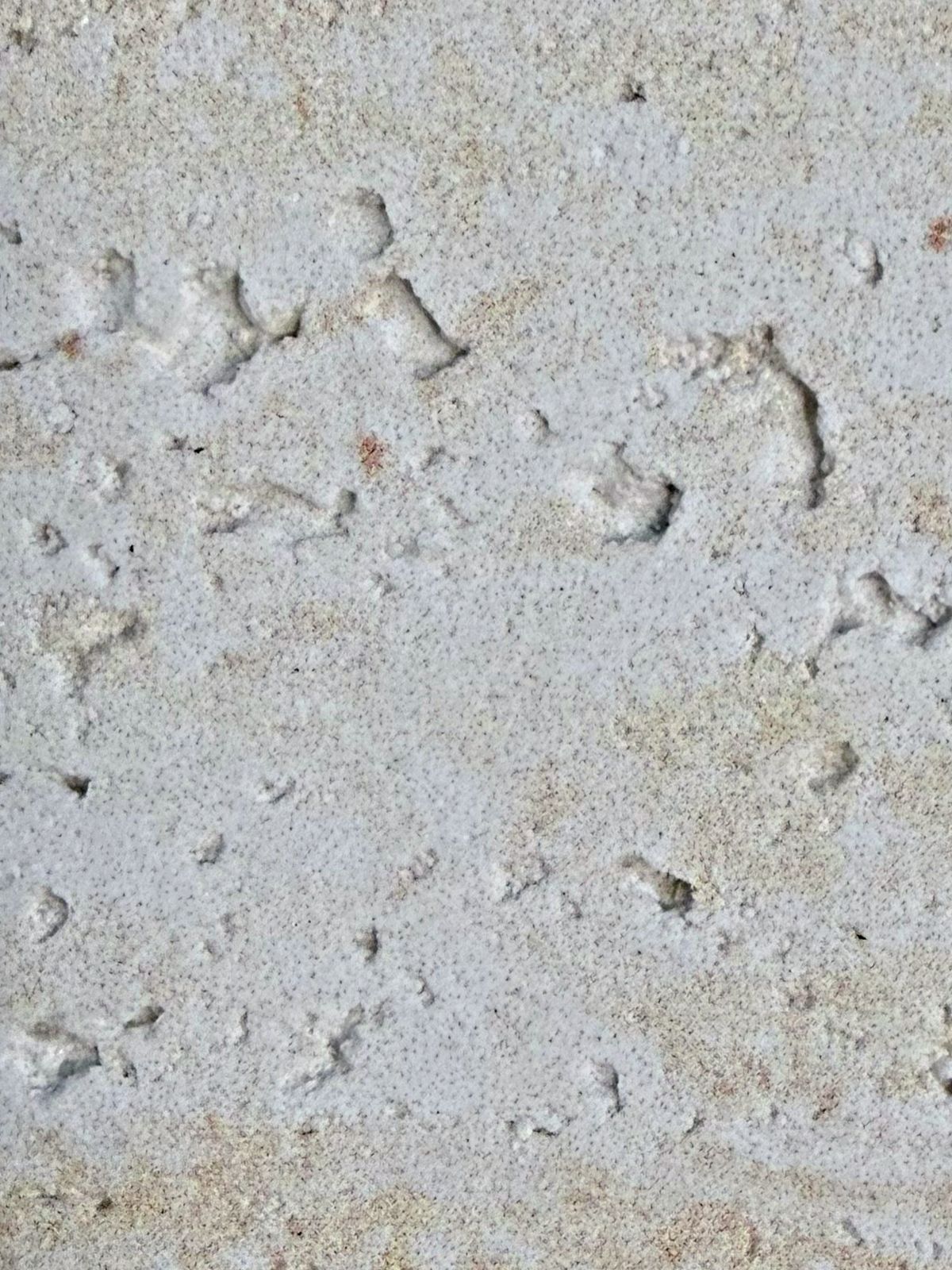 Roman Travertine 02 — Travertine collection, MCM flexible surface