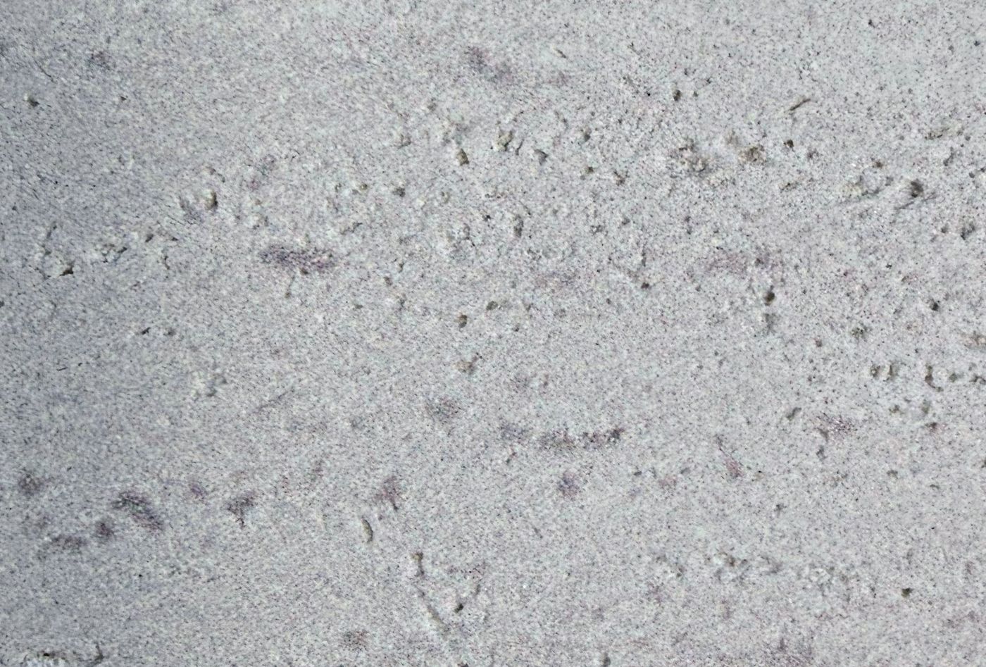 Roman Travertine 03 — Travertine collection, MCM flexible surface