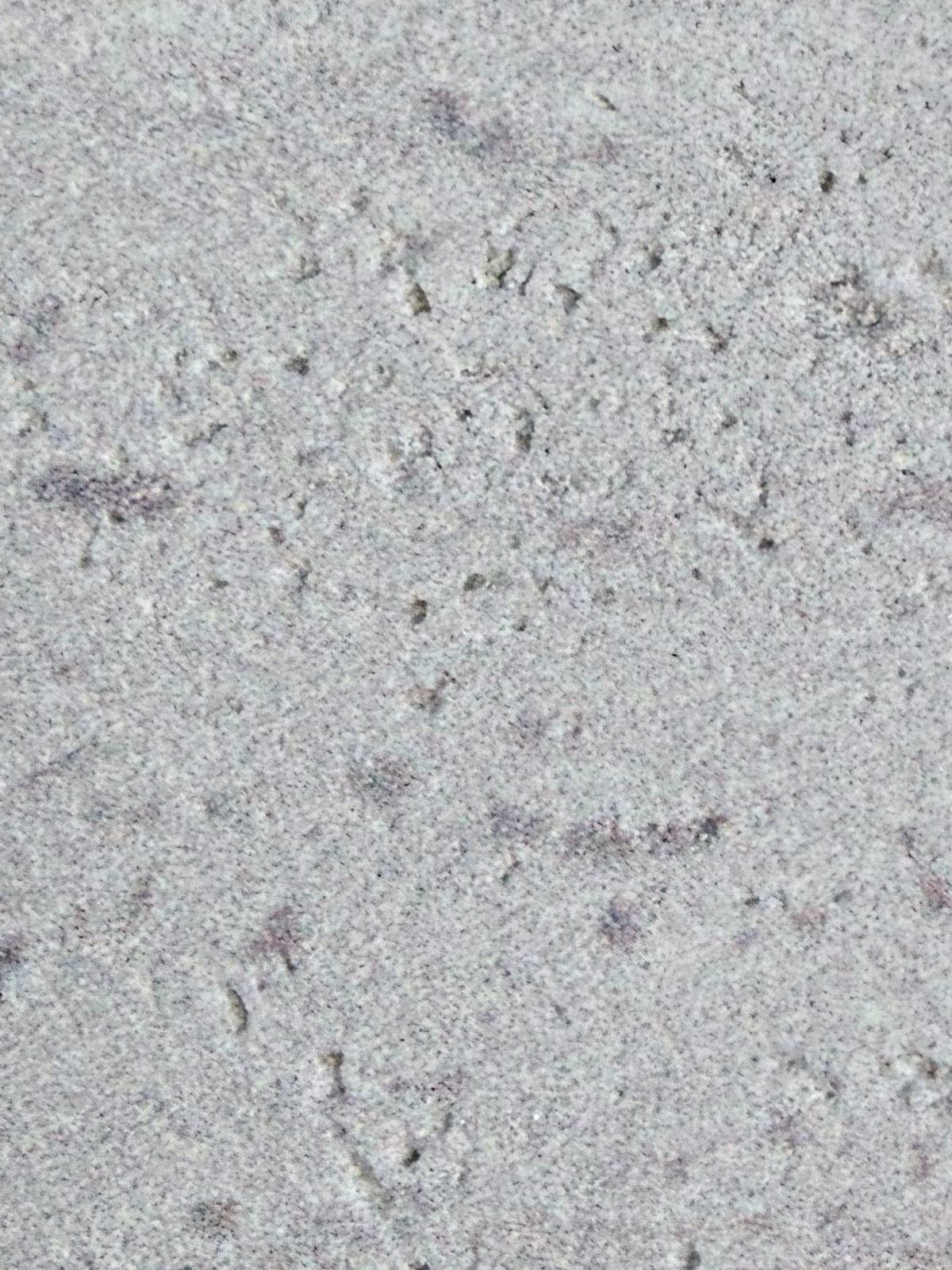 Roman Travertine 03 — Travertine collection, MCM flexible surface