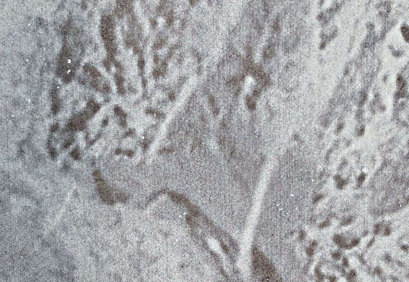 Slate 03 — Slate collection, MCM flexible surface