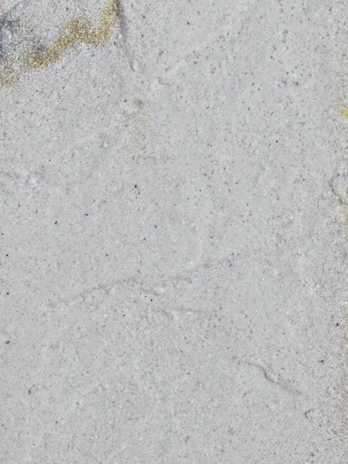 Slate collection with ochre veining